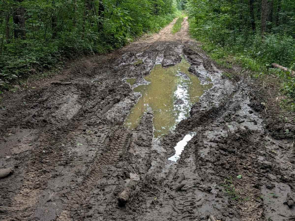FS 3922 trail photo