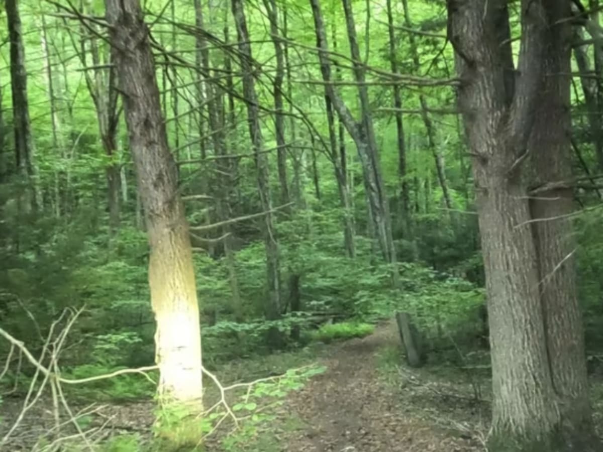 Old Spencer Road trail photo