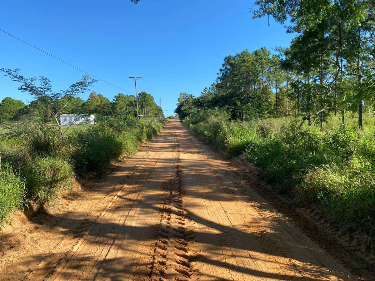Green Swamp Road photo 2