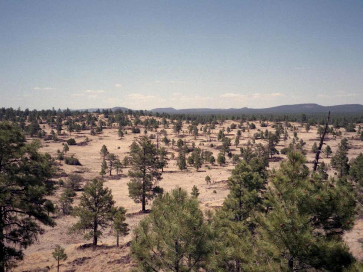 Hole in the Wall at Malpais National Monument trail photo