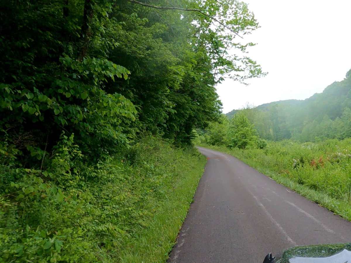 Myers Fork Road photo 2
