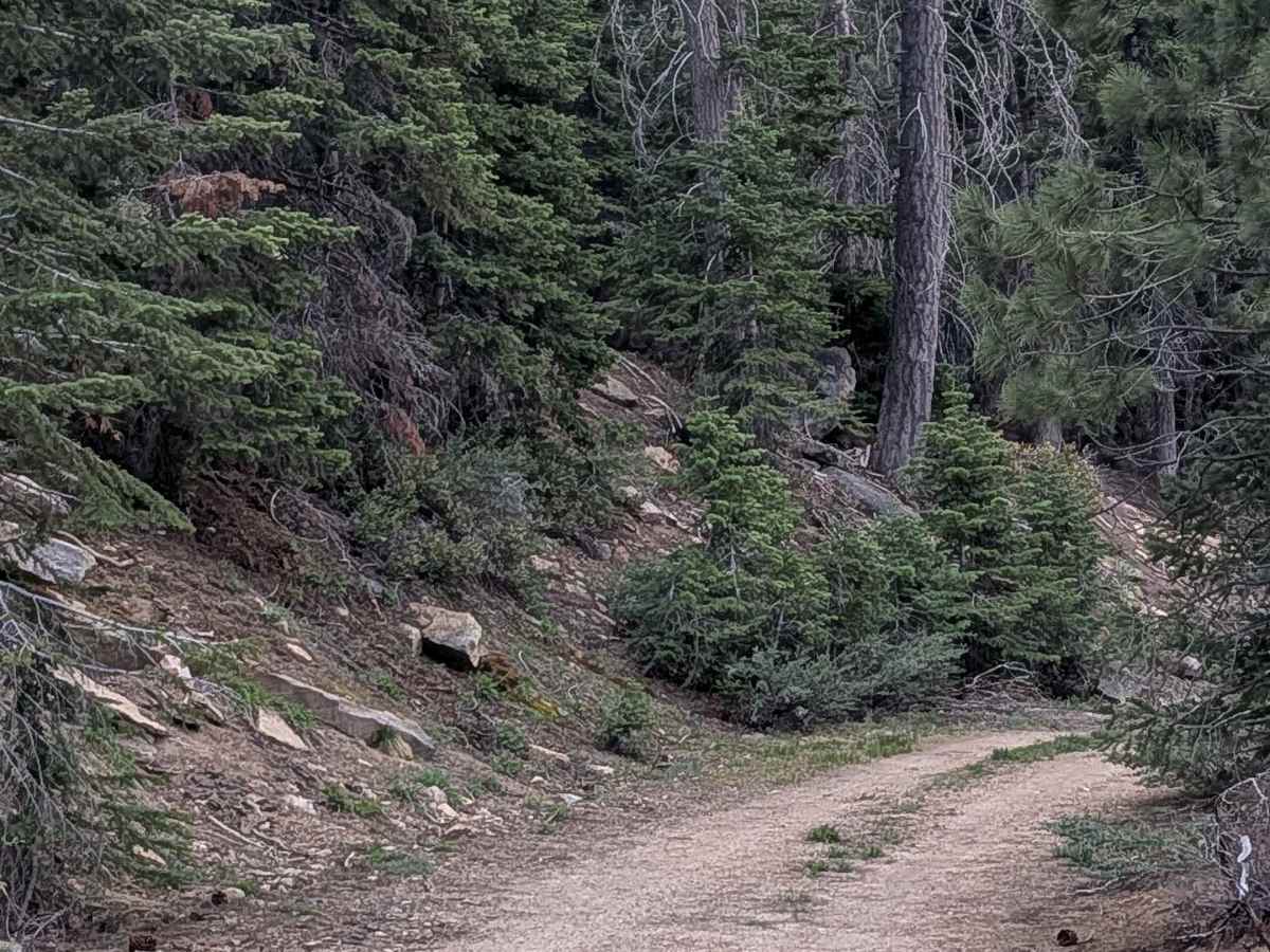 Deadwood - FS 23S09 photo 5