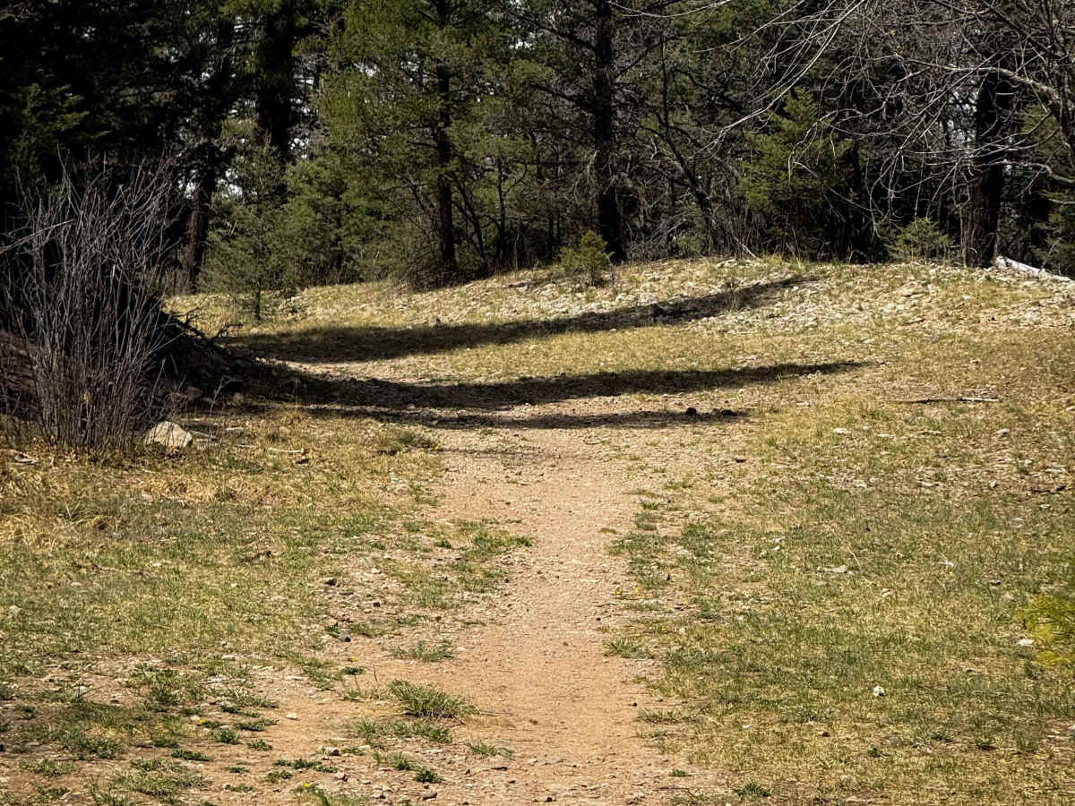 Pines South Trail  photo 6