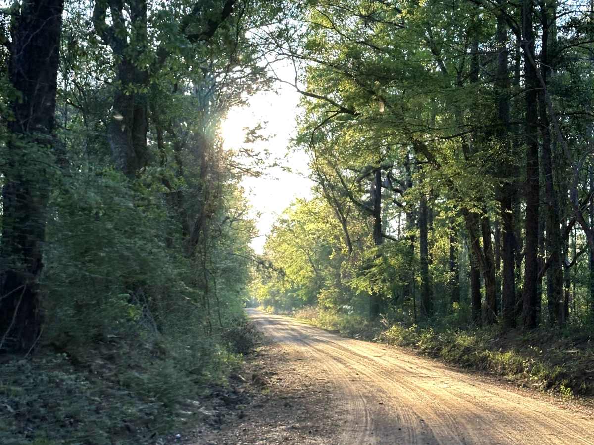 County Road 1125 photo 4