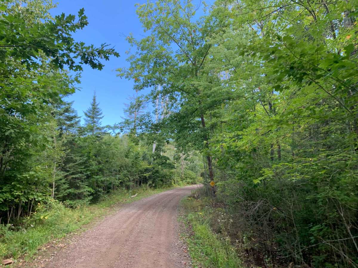 Gravel Pit Trail photo 2