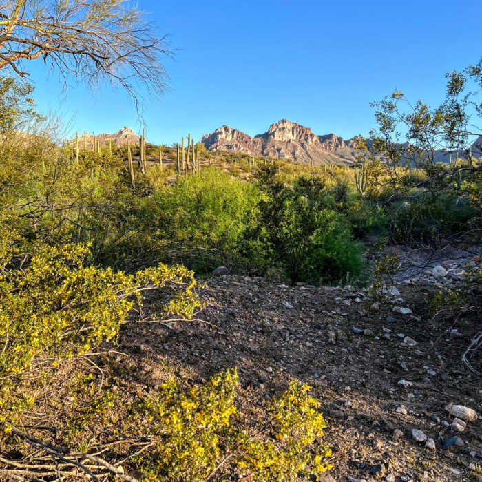 Near Arizona Trail Passage 16: Gila River Canyons