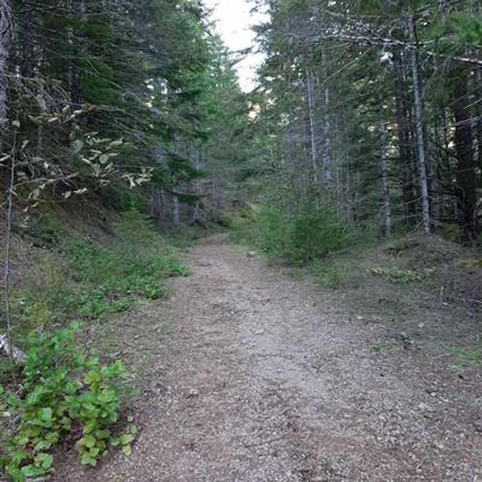 Near Elk Mountain Trail