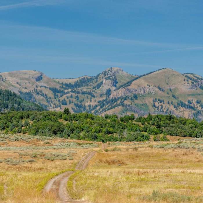 Near Willow Creek/Little Cottonwood