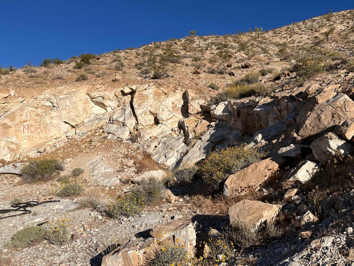 Coyote Campout trail photo