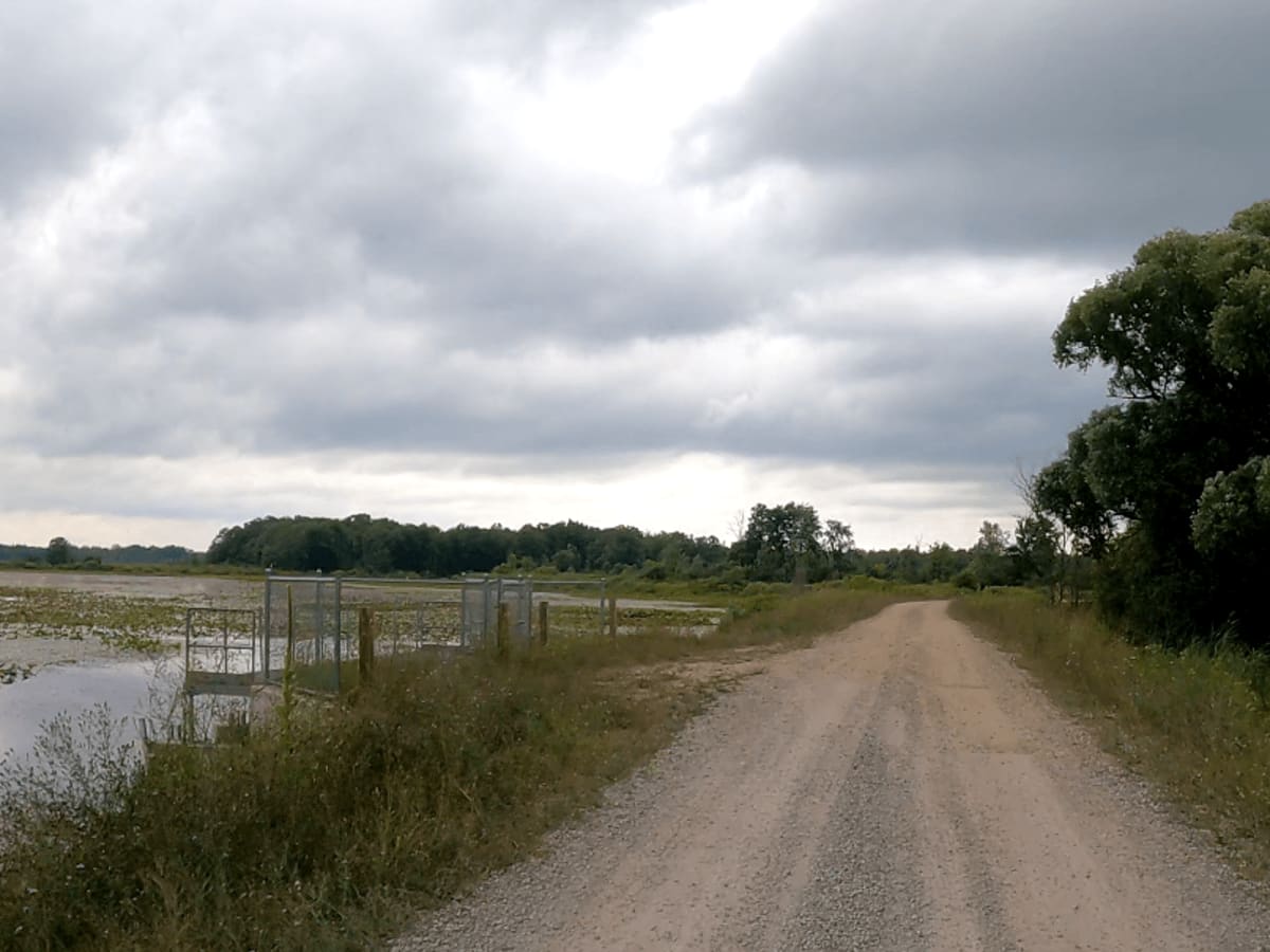 Midland To Mackinaw Trail photo 4