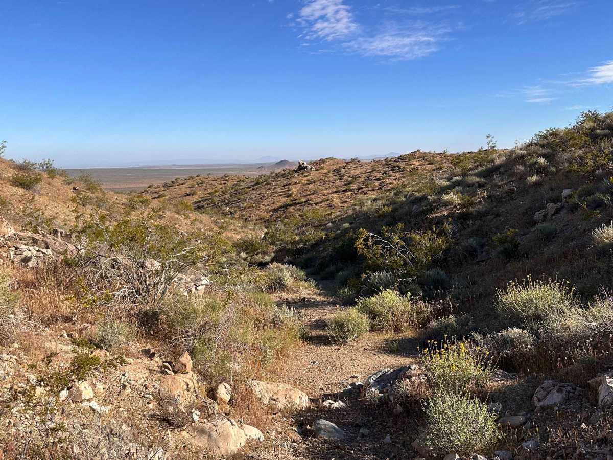 Dry Wash Trail photo 4