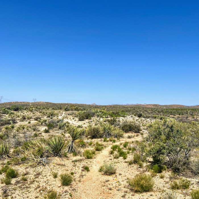 Near Arizona Trail Passage 15: Tortilla Mountains