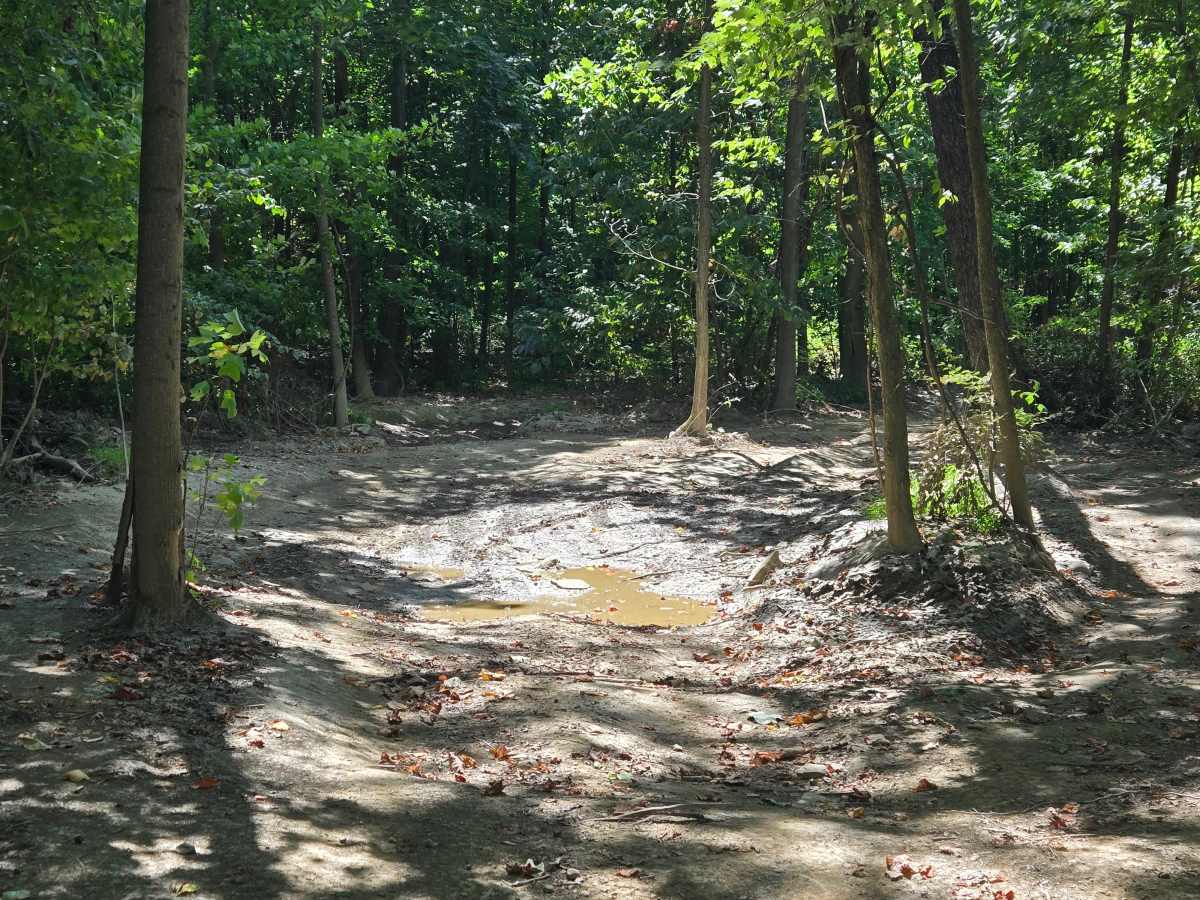 Trail 2 photo 6