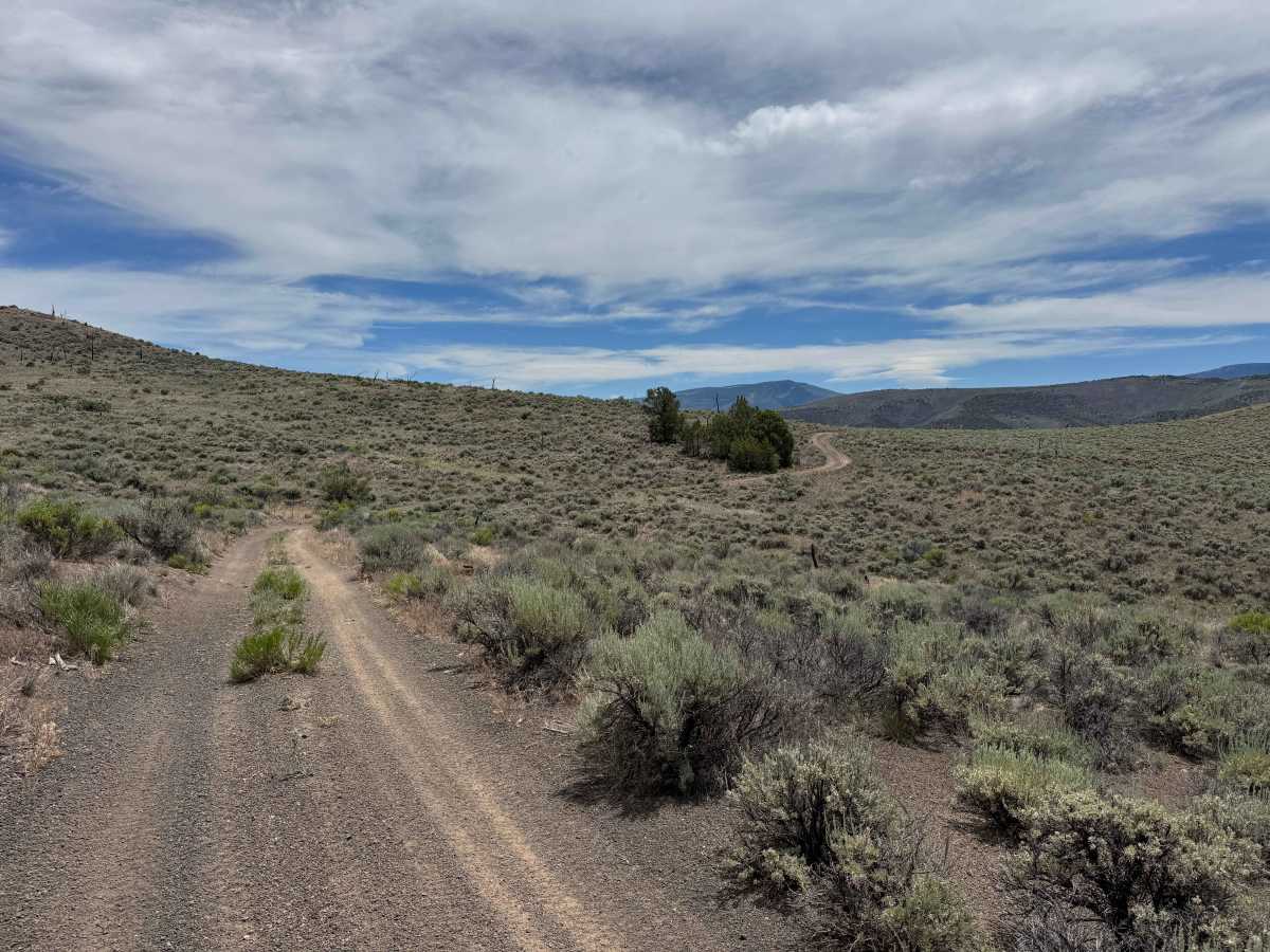 BLM 8466 photo 5