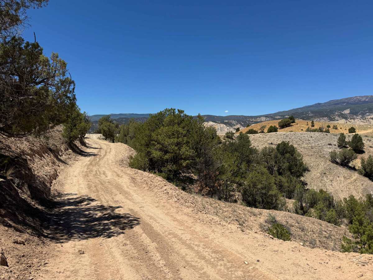 BLM 8479 photo 4