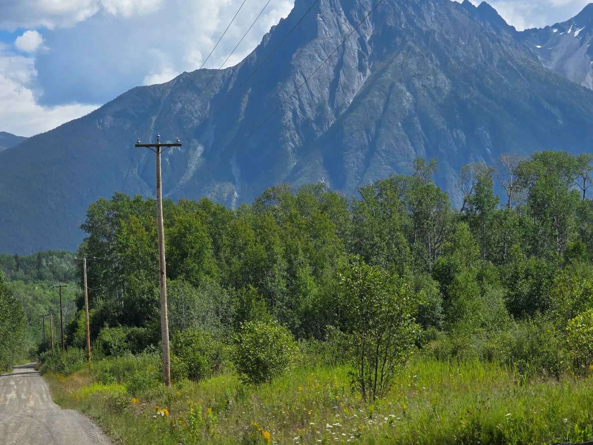 Anderson Flats photo 3