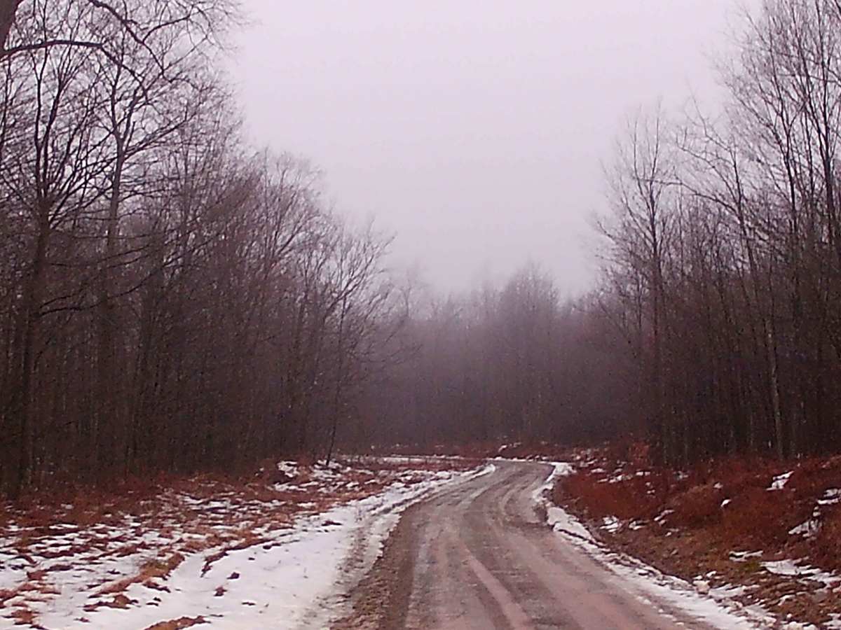 Flynn Road photo 5