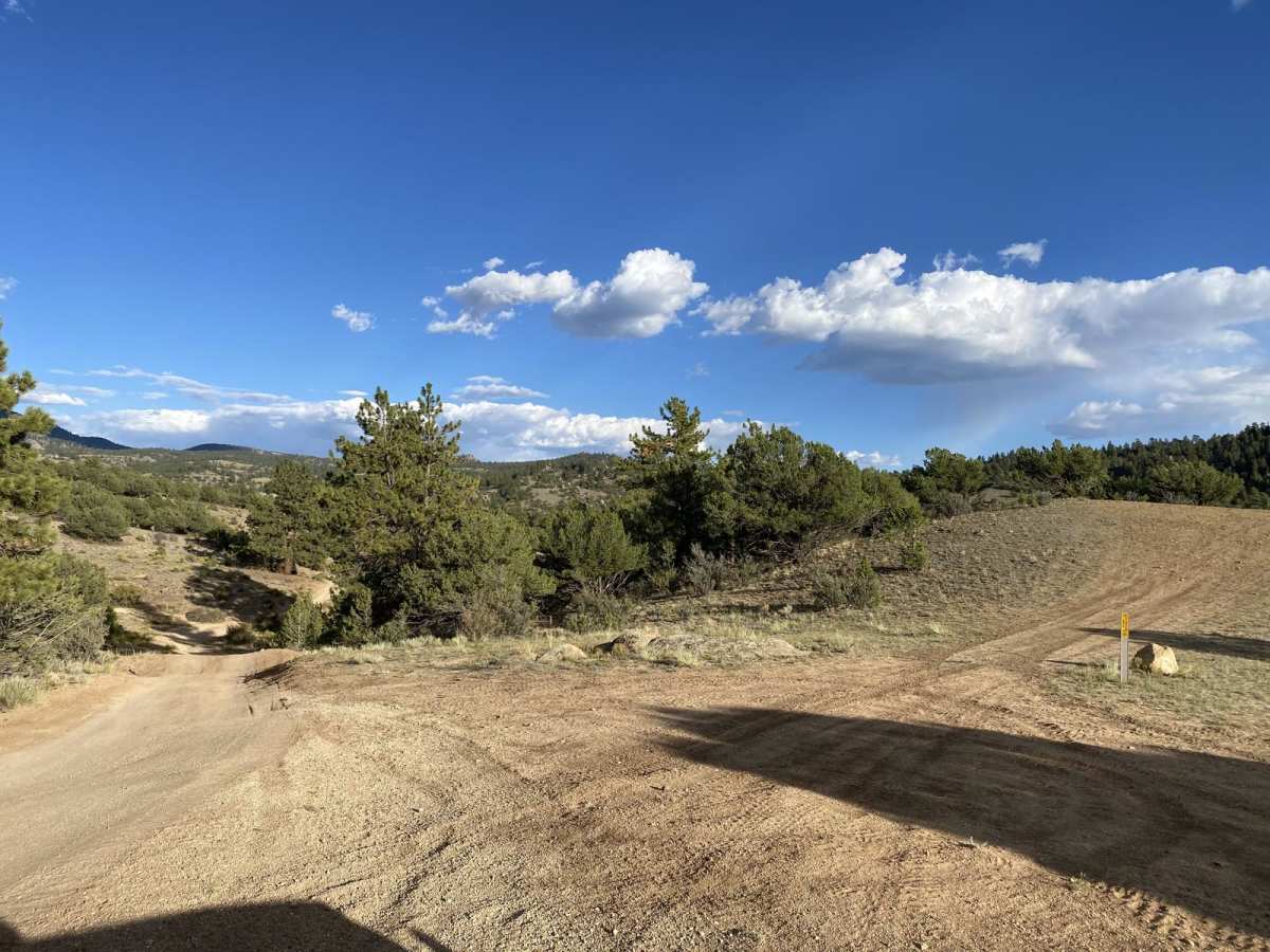 BLM 376 photo 6