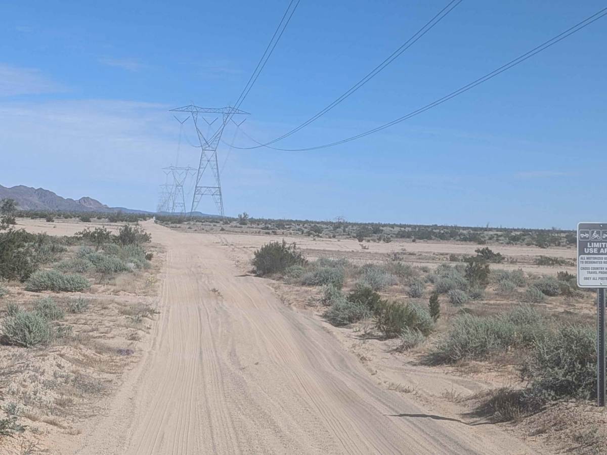 BLM 920 photo 5