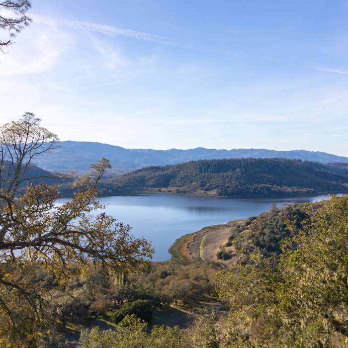 Near Conn Peak Spur Trail