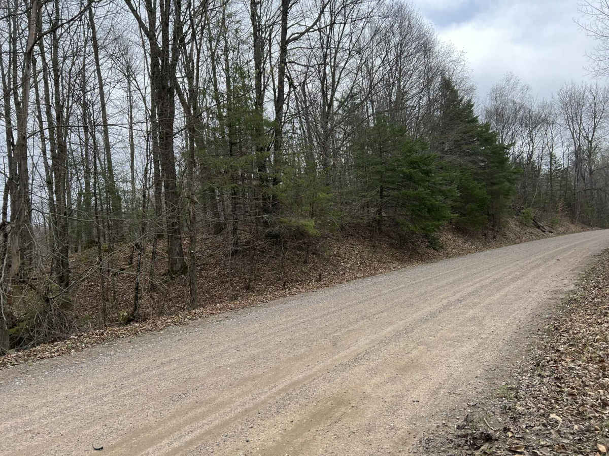 Saul Springs Road photo 4