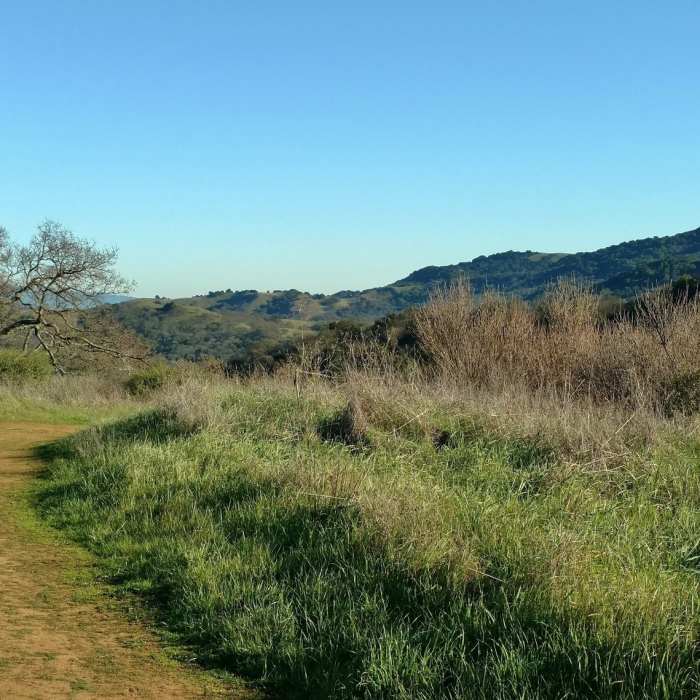 Near Hacienda Trail