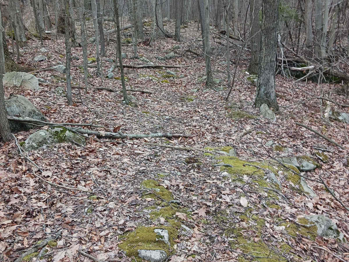 OHV 57 - Rock Run Recreation Area photo 2