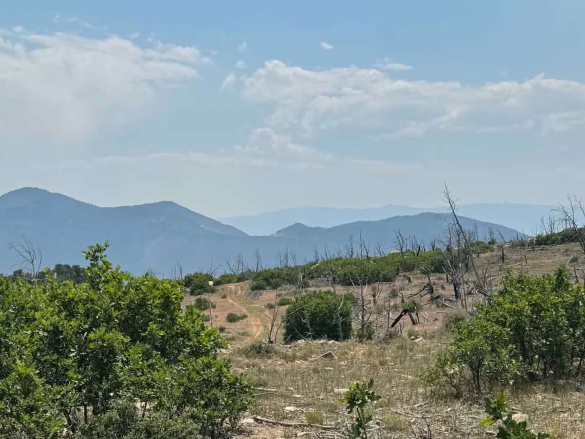 Cedar Mountain East photo 5