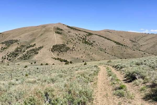 Charnac Brock Canyon - FS 43129