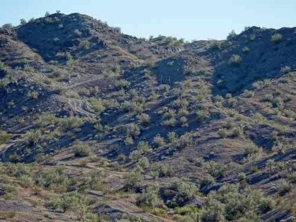 Planet Mine photo 6