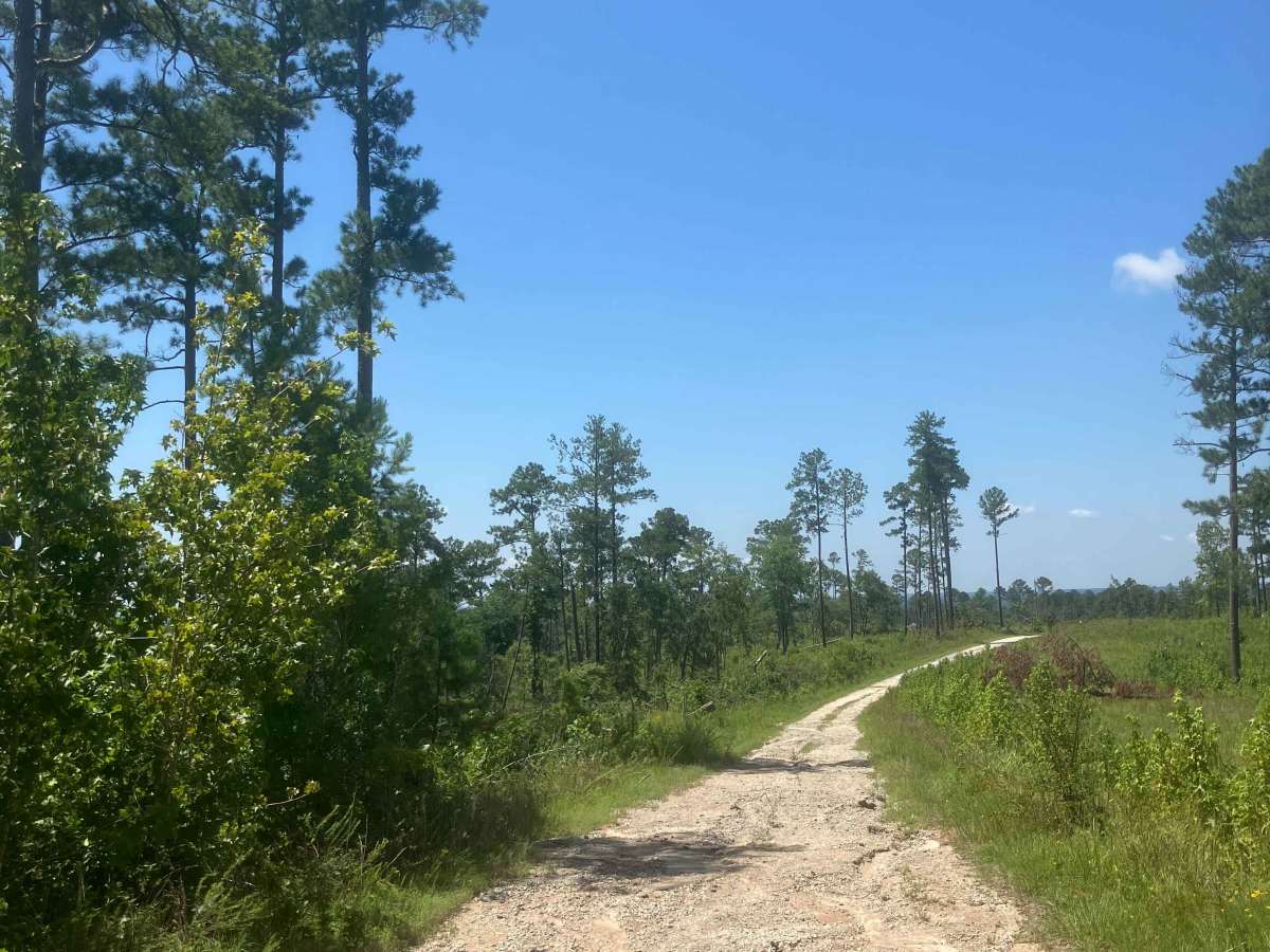 Mason Wildlife Trail South photo 3