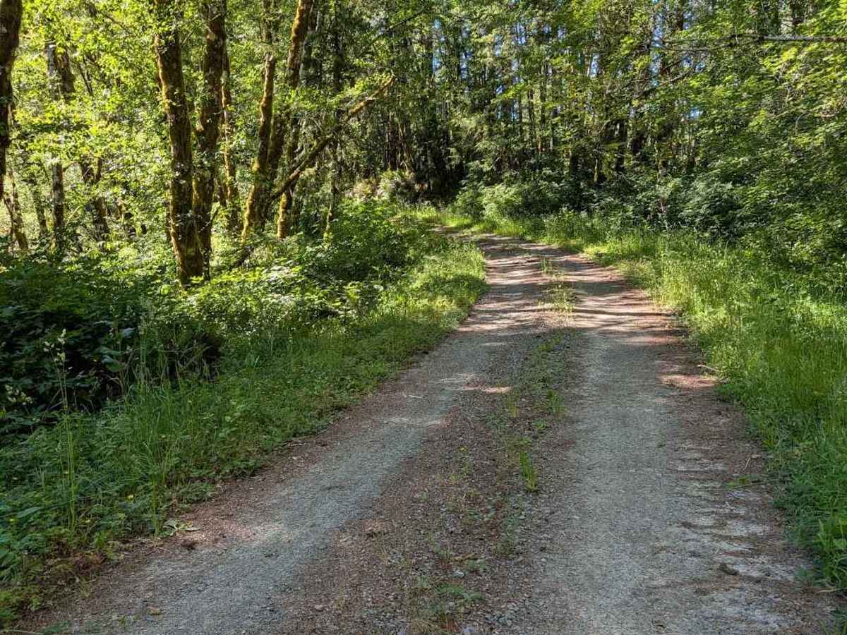 Lake Creek Rd - FS 3210 photo 4