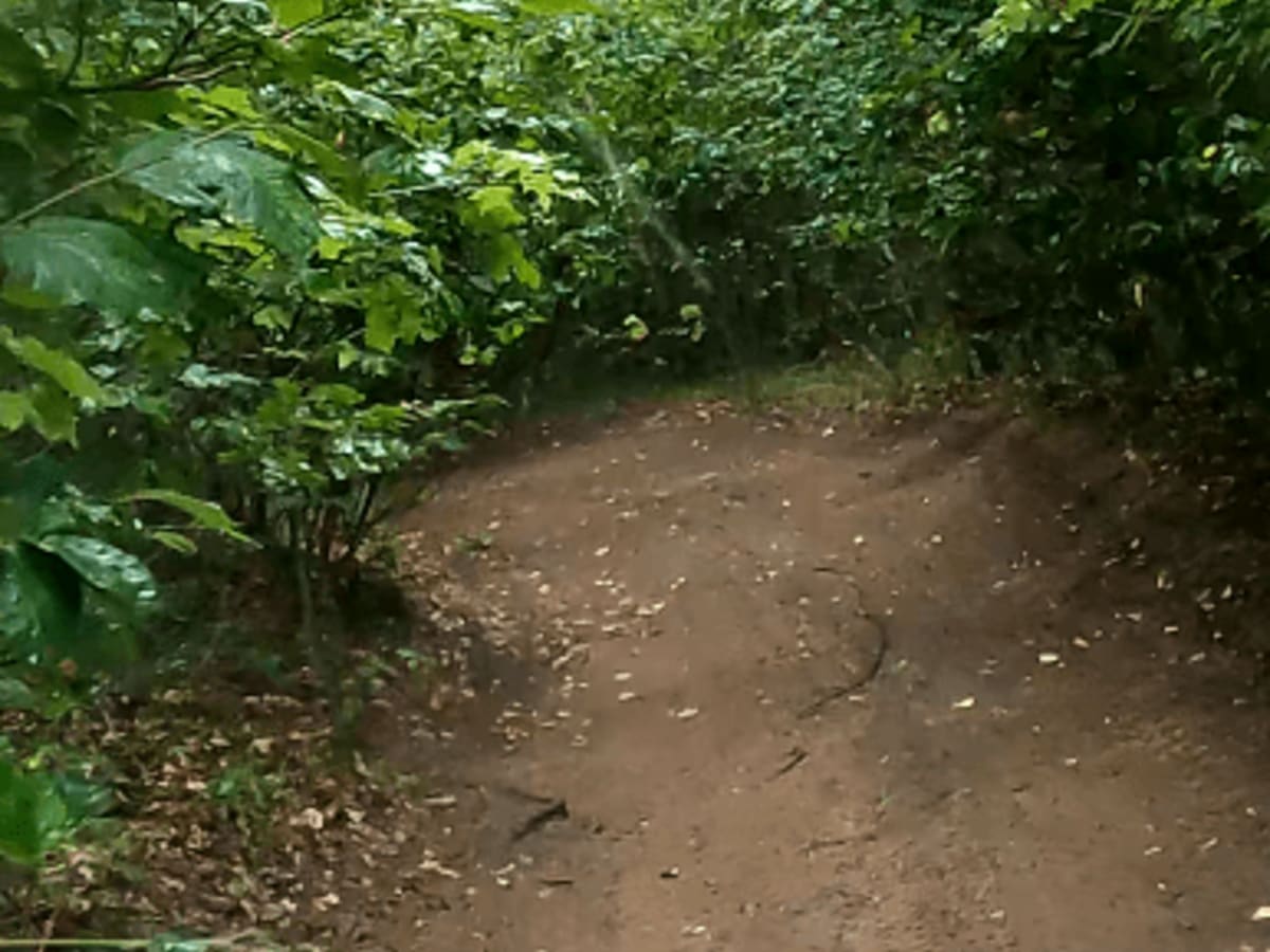 Scratchy Trail photo 5