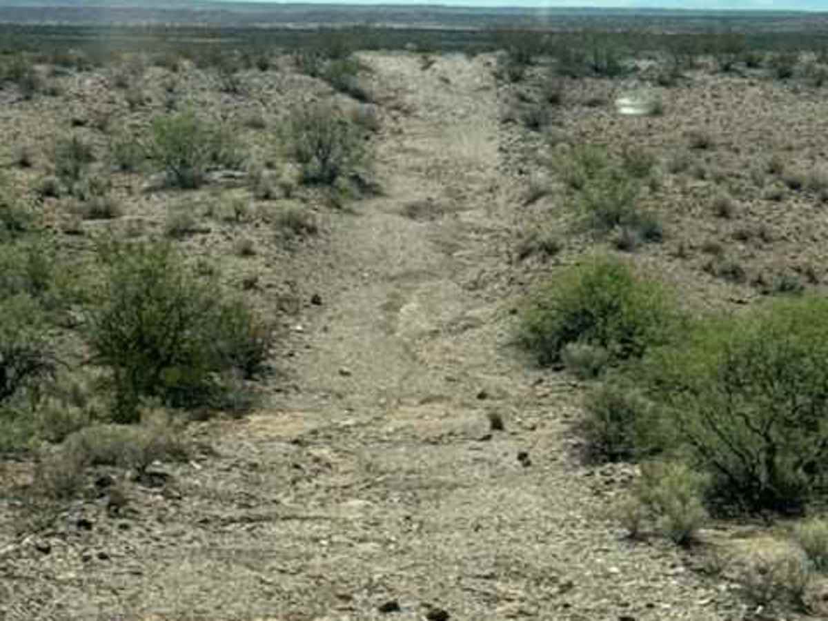 BLM SS1031 photo 5