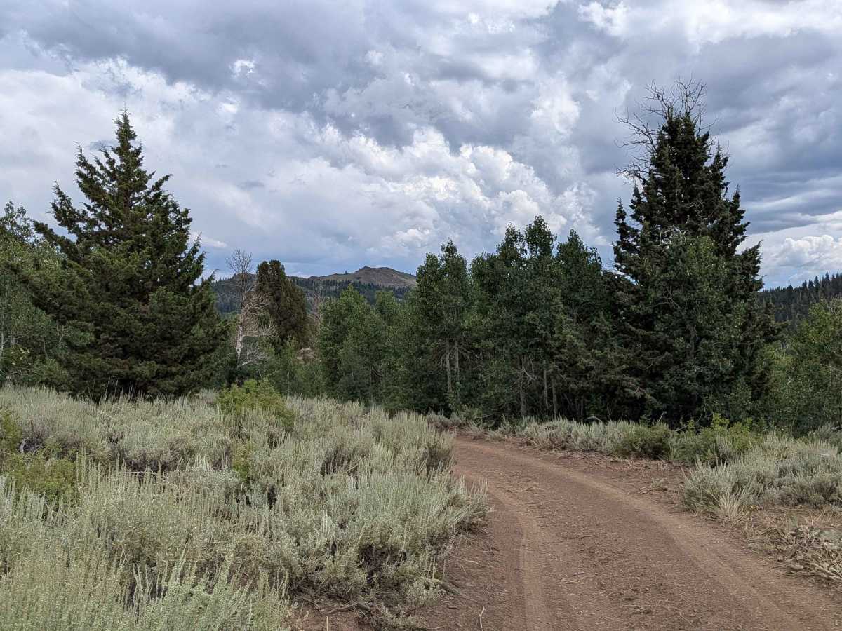 Pass Spur Road - FS 3108B trail photo