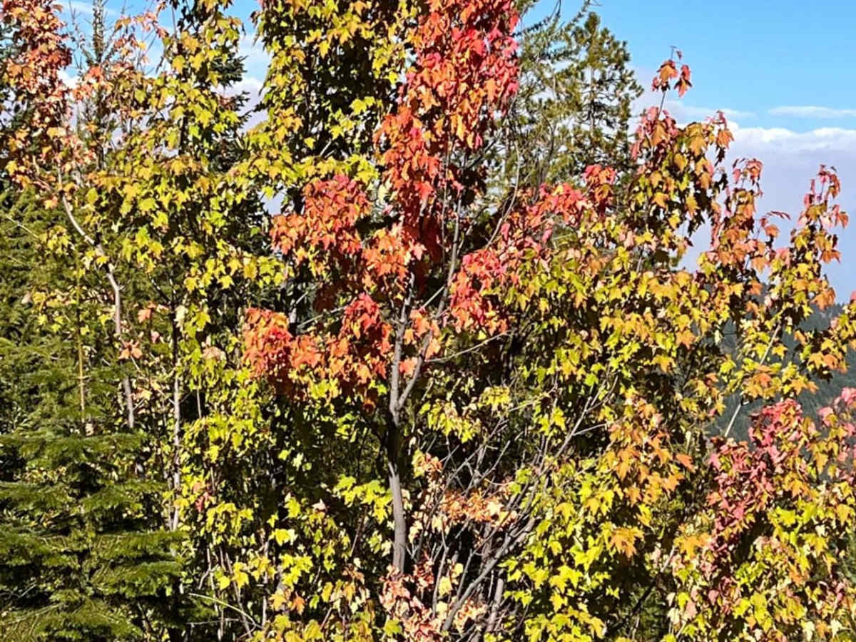 Stevens Ridge photo 5