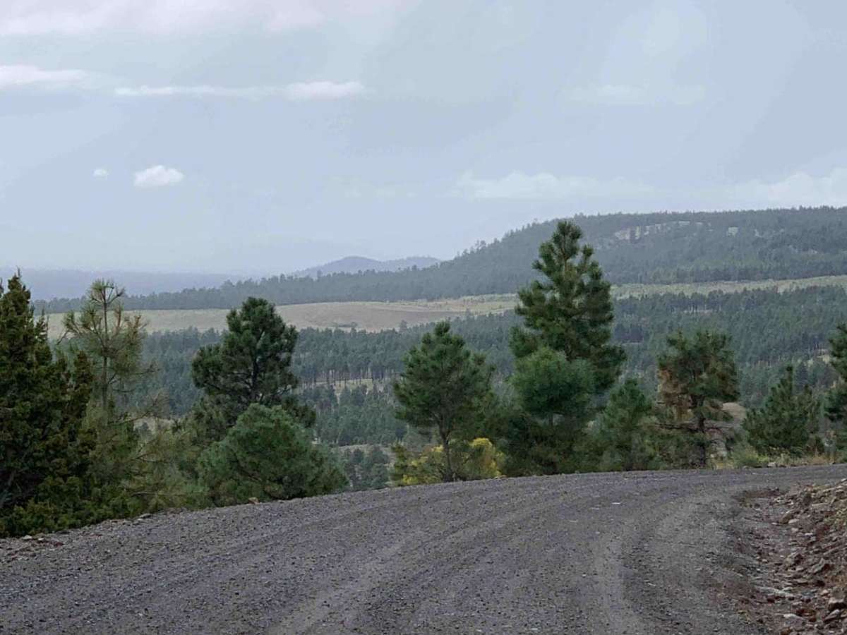 Lockett Meadow Trail trail photo