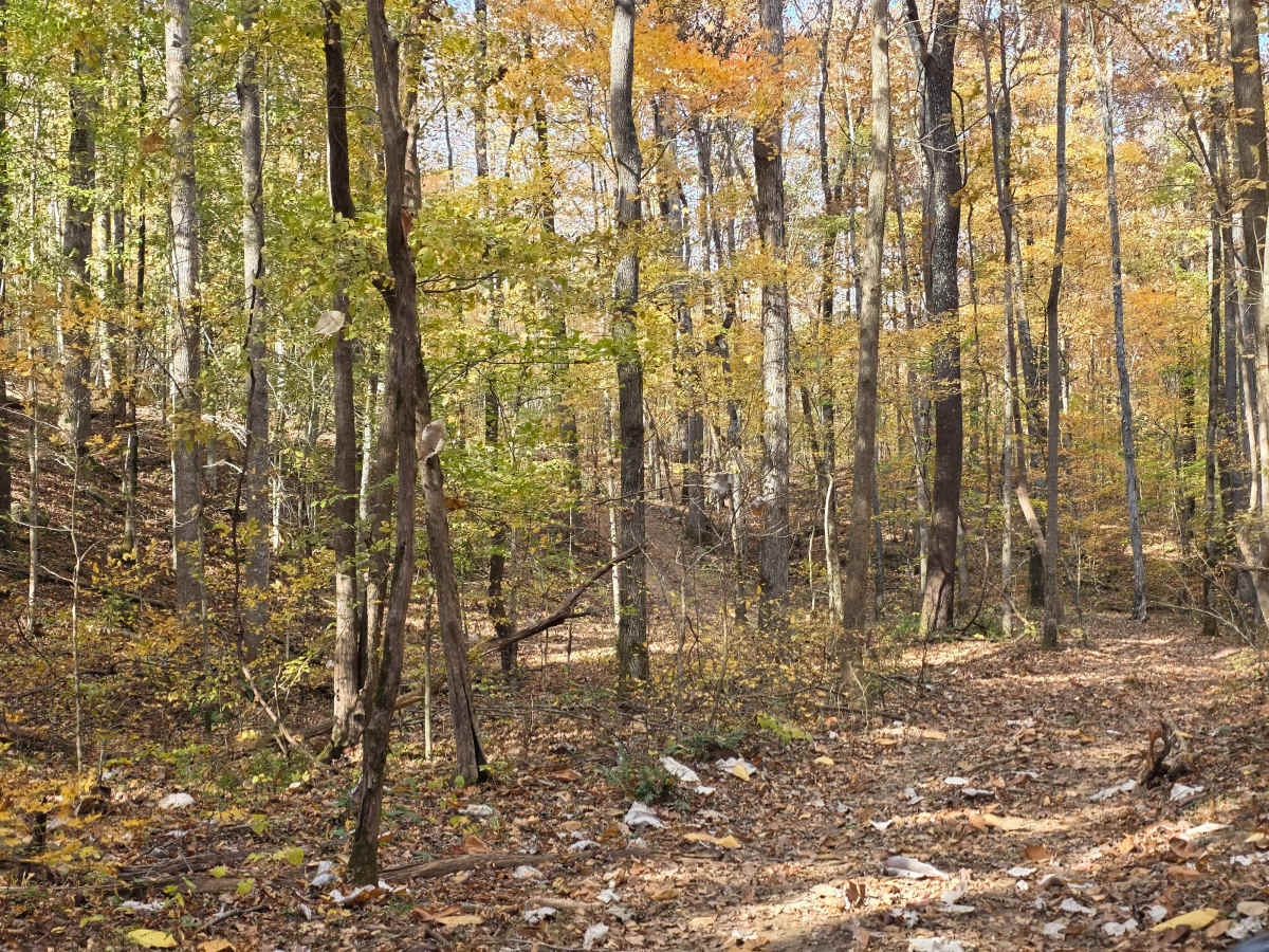 Creekside photo 4