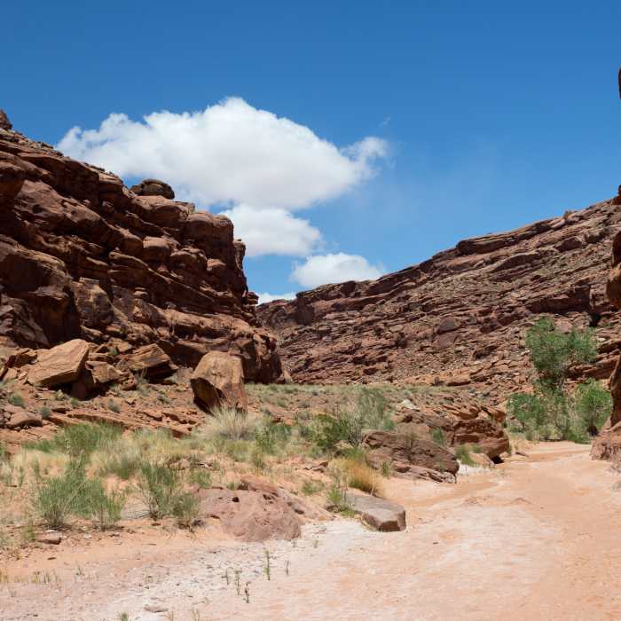 Near Butler Canyon Trail