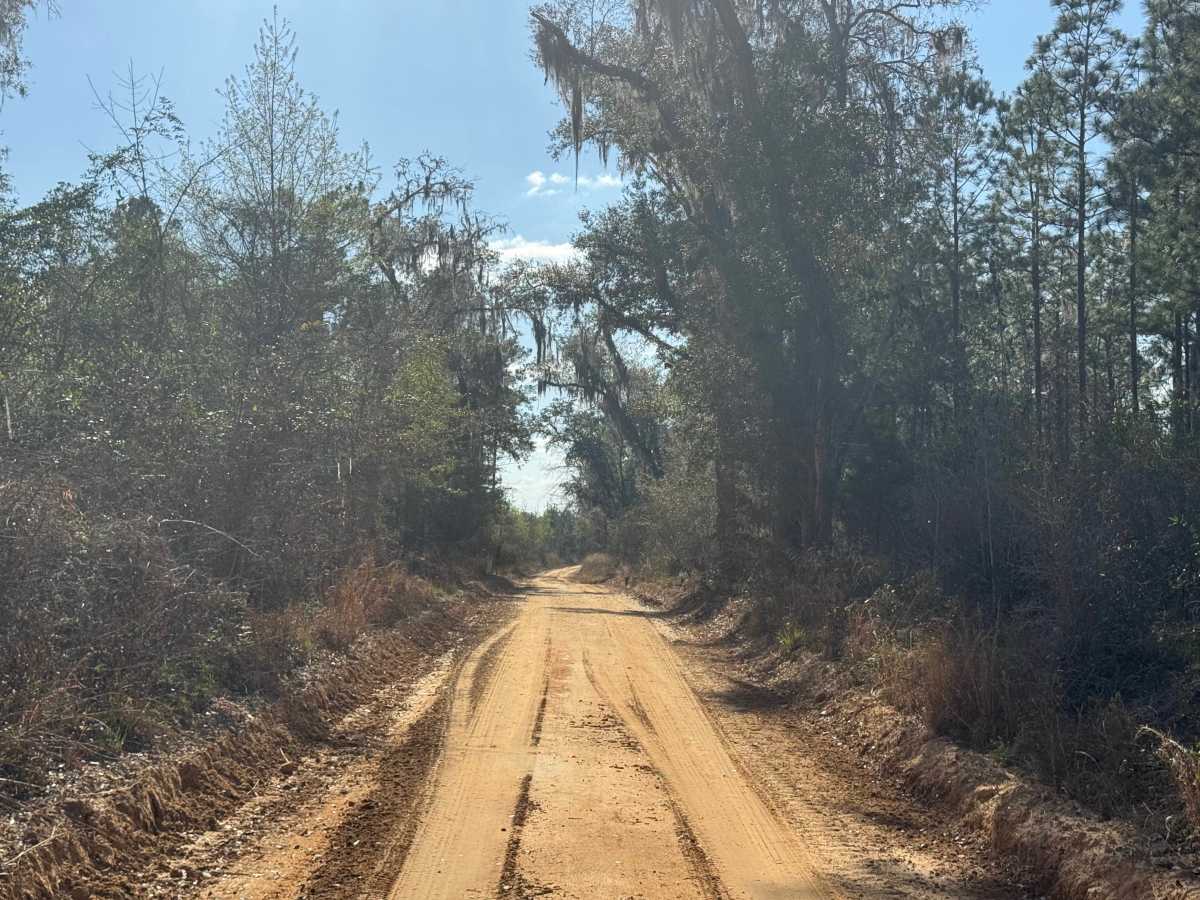Ten Mile Still Road photo 5