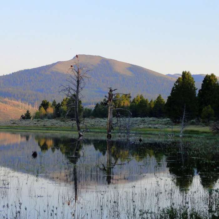Near Oregon Desert Trail (Seg. 8): Abert S to Colvin Timber