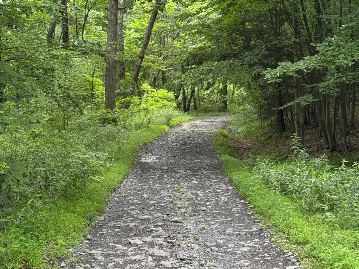 Trail 23 photo 4