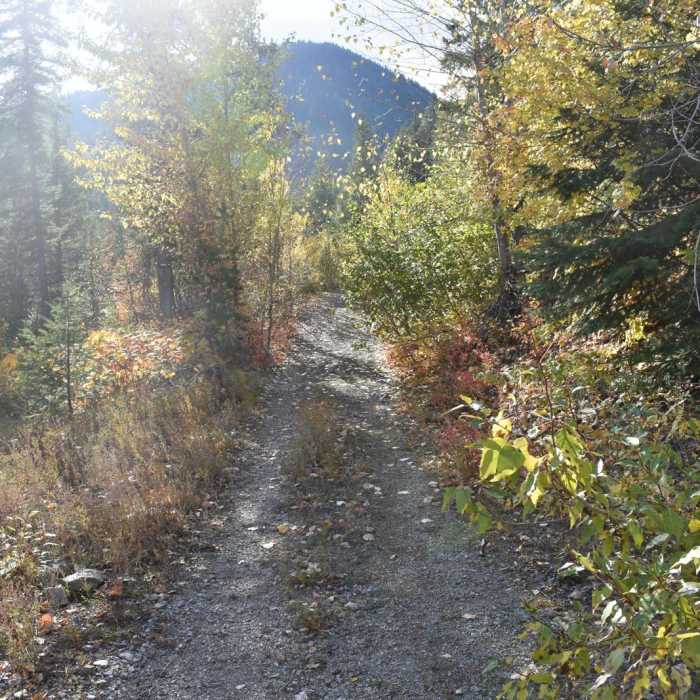 Near Lone Lake Trail