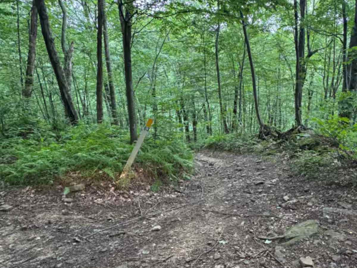 Trail 26 trail photo