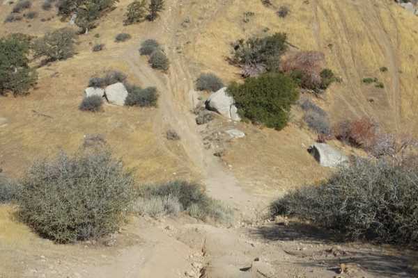 Hogeye Ridge Trail - FS 32E45