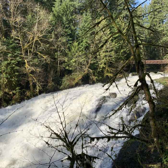 Near Lacamas Creek Trail