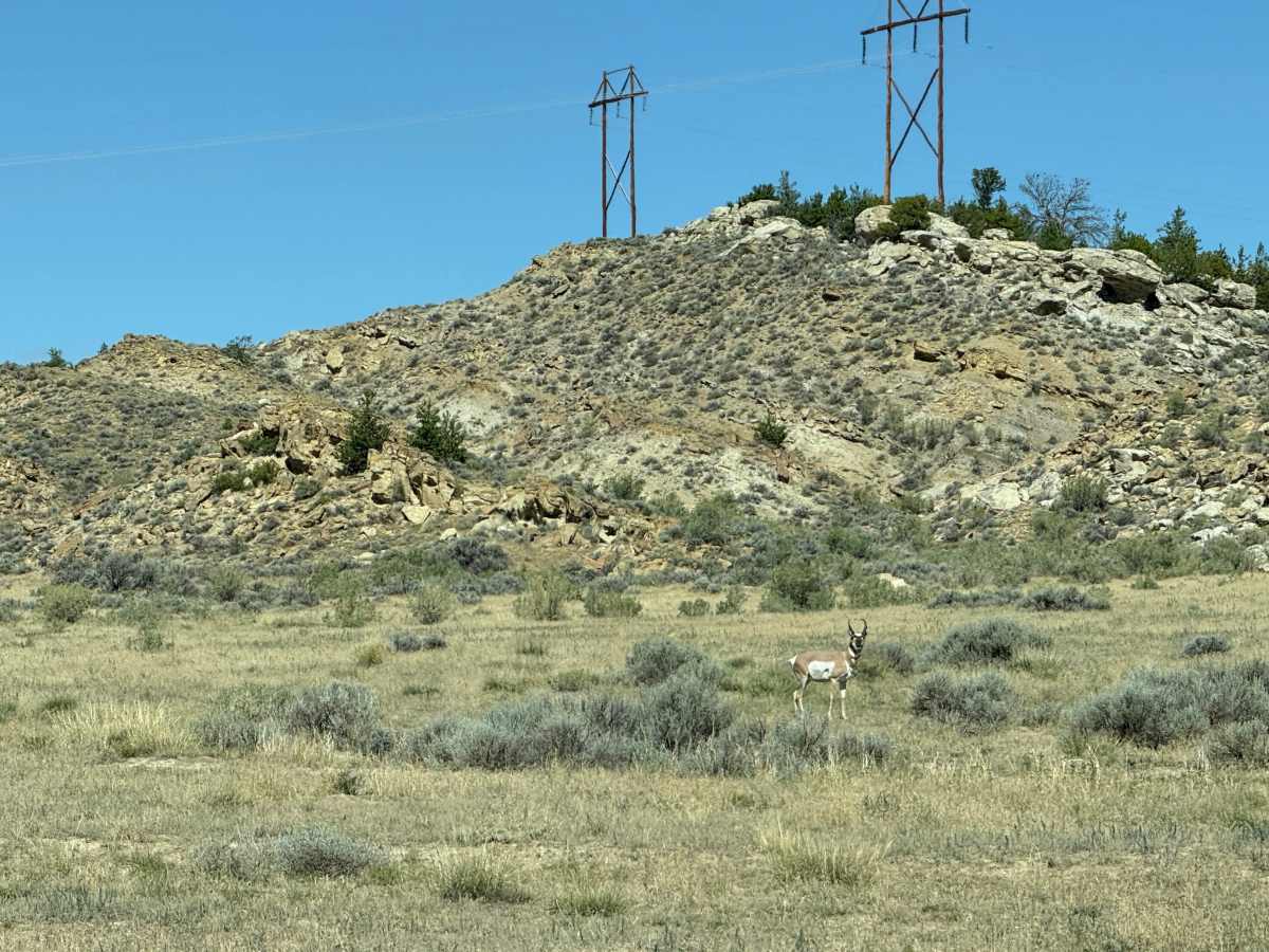 Lower Road photo 4