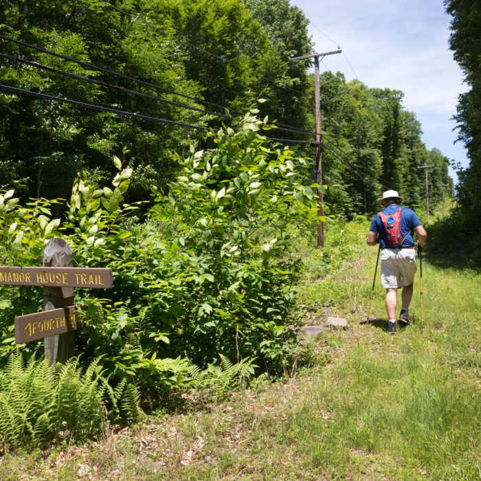 Near Fourth Run, Stage and Park Road Loop Near Fourth Run, Stage and Park Road Loop