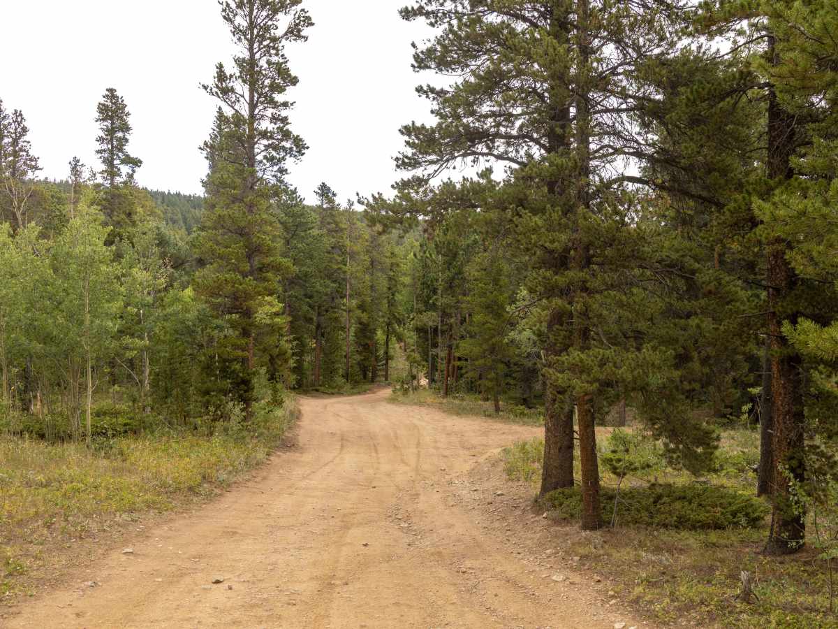 Gordon Gulch photo 3