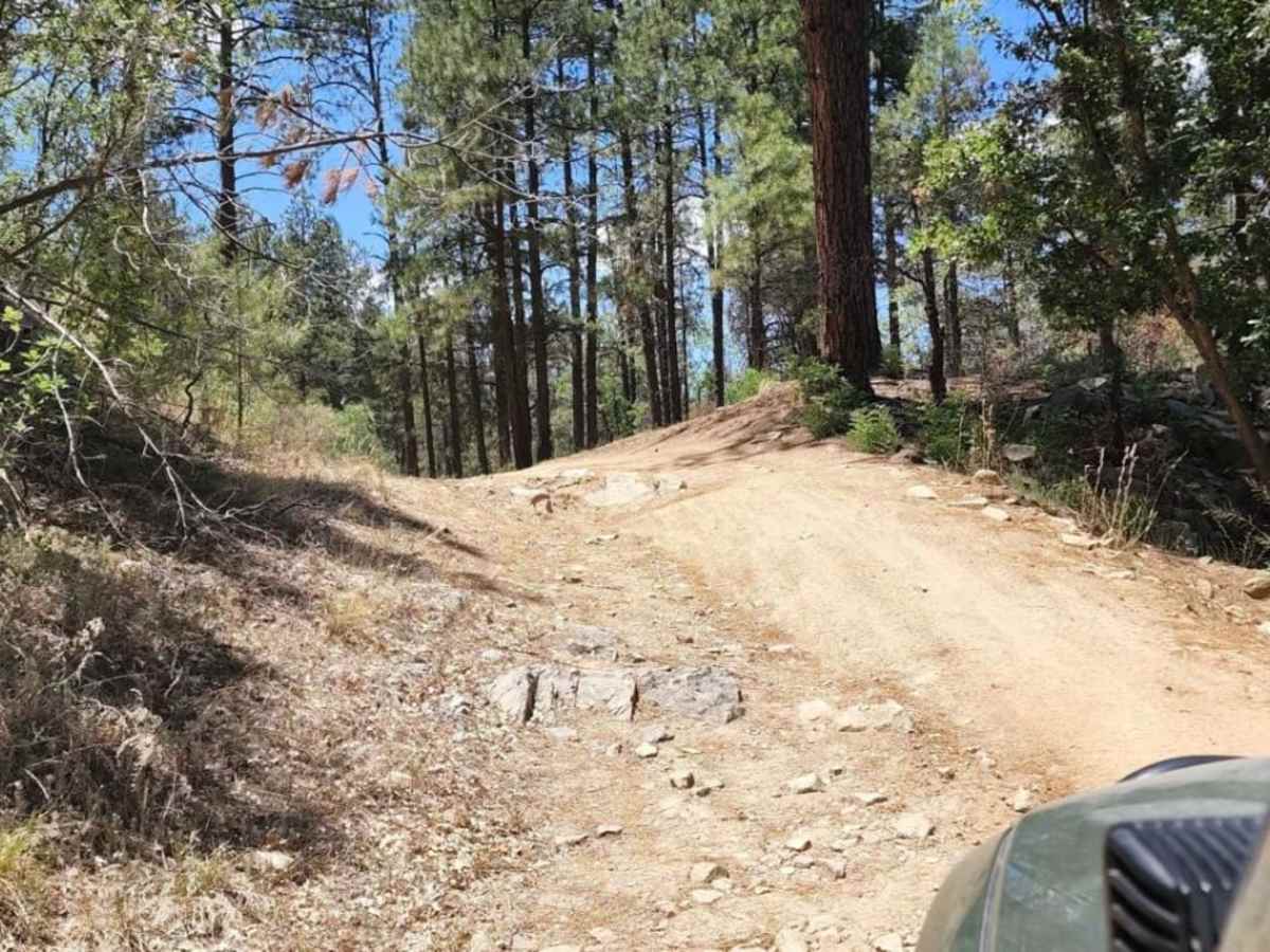 74A trail photo